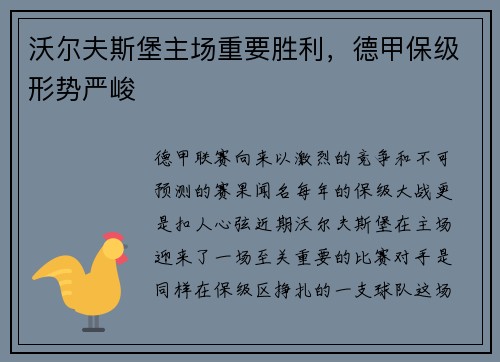 沃尔夫斯堡主场重要胜利，德甲保级形势严峻